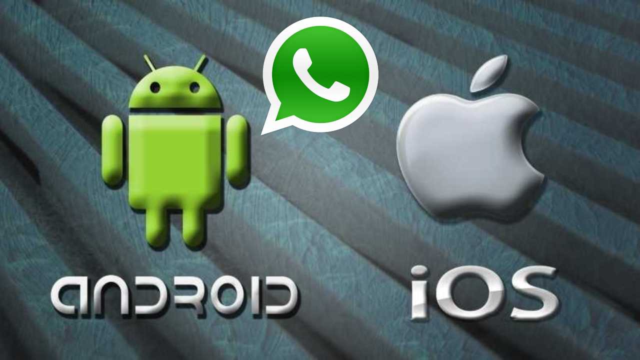 Android Whatsapp iOS newscellulari 20221205