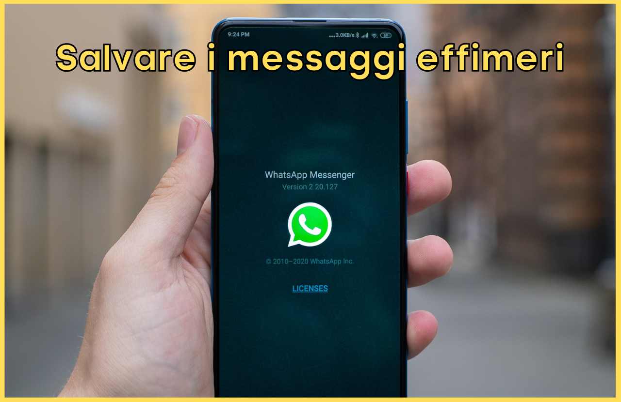 Messaggi Effimeri WhatsApp
