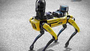 Spot cane robot - NewsCellulari.it